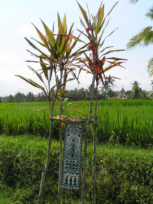 2005_indonesiatrip_327_2